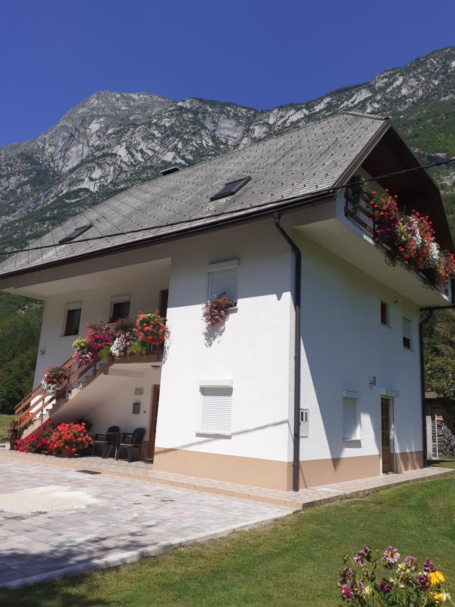 Apartma Pod Rozem Soca Luaran gambar