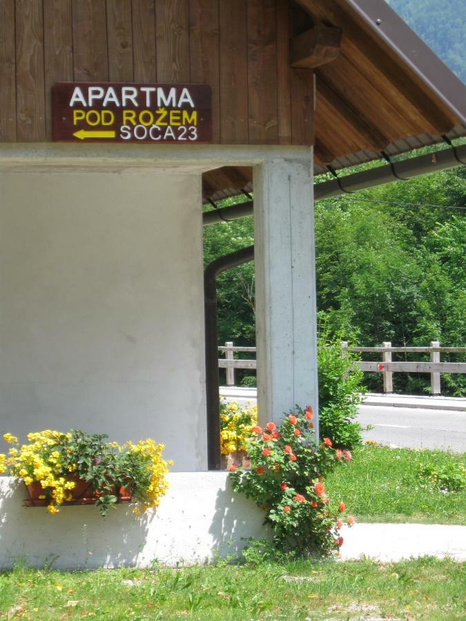 Apartma Pod Rozem Soca Luaran gambar