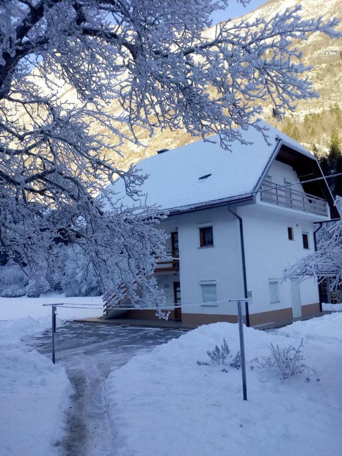 Apartma Pod Rozem Soca Luaran gambar