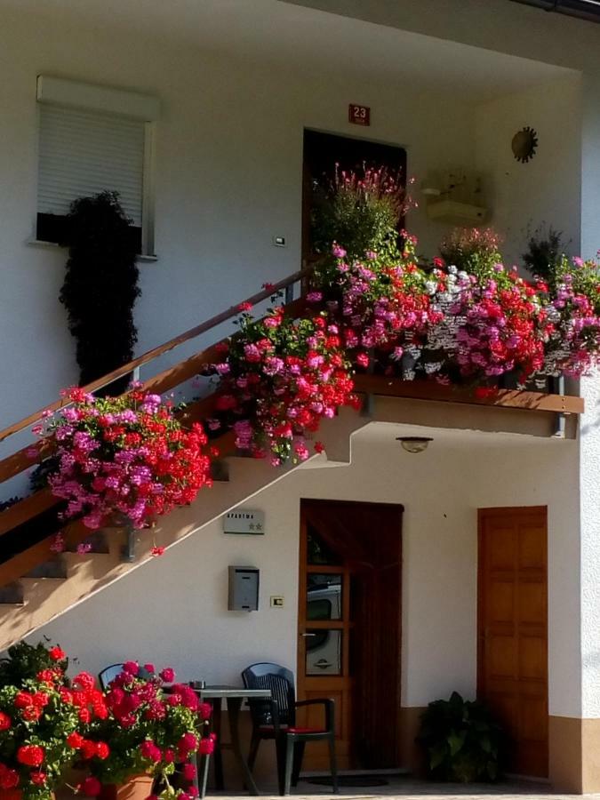 Apartma Pod Rozem Soca Luaran gambar